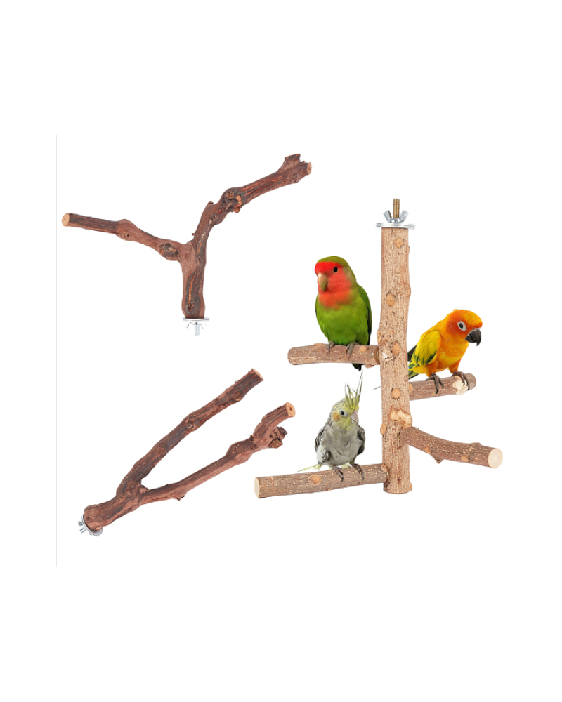 Satinwood Parrot Standing Twig, with Iron Finding, Pet Supplies