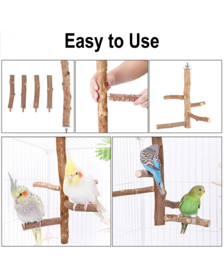 Satinwood Parrot Standing Twig, with Iron Finding, Pet Supplies