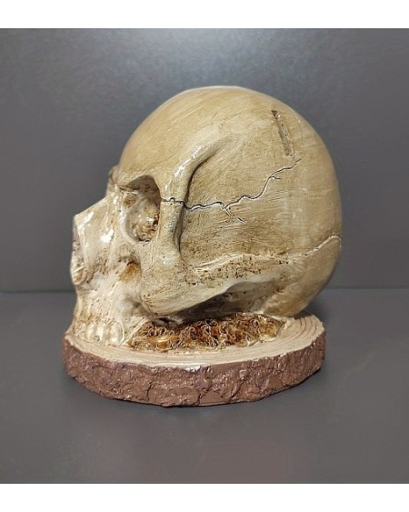 Skull Resin Knife Display Stand, Knife Holder for Home Kitchen, Store, Exhibition (02Y6BZ)